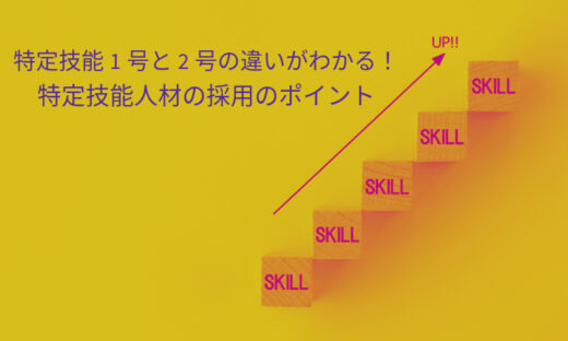 特定技能1号と2号の違いがわかる！特定技能人材の採用のポイント